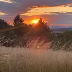 Profile Picture of Kevin Mohr (@Kevin-Mohr) on Facebook