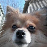 Profile Picture of Ruby Singleton (@ruby-singleton) on Quora