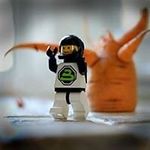 Profile Picture of Edward Wingate (@edward.wingate) on Instagram