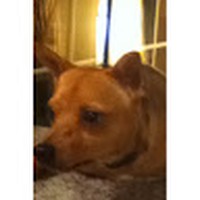 Hannah Tierney - Quora Profile Picture of Hannah Tierney (@hannah-tierney-15) on Quora