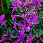 Profile Picture of Sarner (@sarnerjoyntonbm3) on Instagram