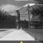 Profile Picture of James Alpha (@colin.kauffmann) on Instagram