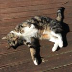 Profile Picture of Tran Lien (@phuonglien31) on Instagram