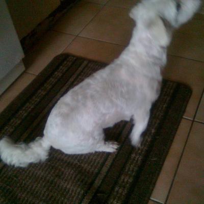 Profile Picture of Robert Lemon (@LandyfanRobert) on Twitter