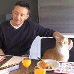 Profile Picture of Davidoff (@david.uyttendaele) on Instagram