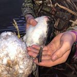 Profile Picture of Giles-Grant-Gunner (@g3__outdoors) on Instagram