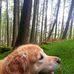 Profile Picture of Janet Keay (@Janet-Keay) on Facebook