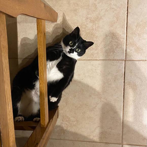 Joshandmargaret Bolin - Poshmark Profile Picture of Joshandmargaret Bolin (@margarita1975) on Poshmark