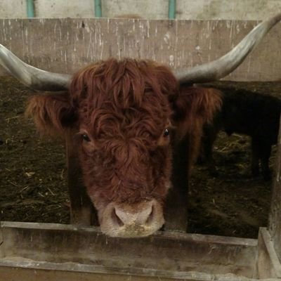 Profile Picture of Jim (Doc) (@JimDaugherty69) on Twitter