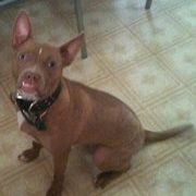 Profile Picture of Jessica Pietrowski (@jessiepeach) on Pinterest