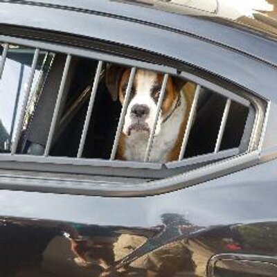 Profile Picture of Thomas C Heston Jr (@hestons1) on Twitter