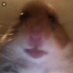 Profile Picture of David Veselický (@veselicky_22) on Instagram