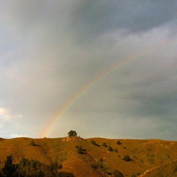 Christiana Ferroggiaro - Poshmark Profile Picture of Christiana Ferroggiaro (@cferroggiaro) on Poshmark