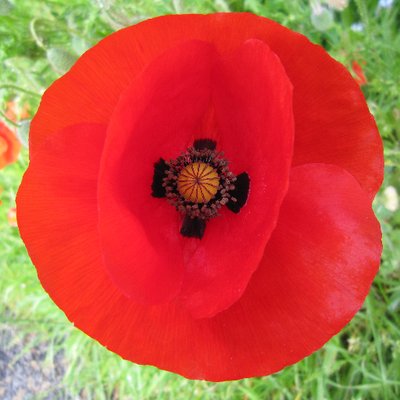 Profile Picture of J Jay Dupre (@jjaydupre) on Twitter