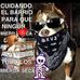 Profile Picture of Mandi Tomas Resinos (@manditomas.resinos) on Facebook