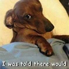 Profile Picture of Daniel Furlong (@DanielFurlong19) on Twitter