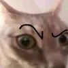 Profile Picture of adam (@adamlovesbees) on Tiktok
