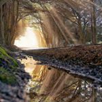 Profile Picture of Raymonde Benavides (@raymonde_benavides_713) on Instagram