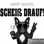 Paul nehls - Instagram Profile Picture of Paul nehls (@nehls79) on Instagram