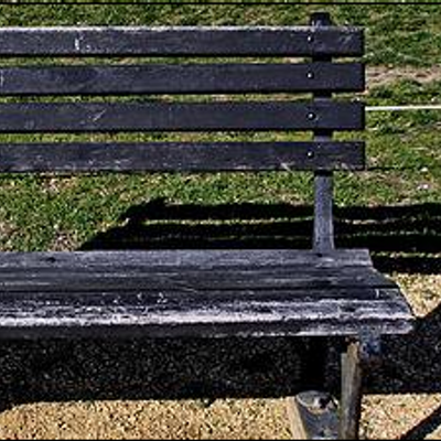 Profile Picture of Steve A. Bench (@PublicBench) on Twitter