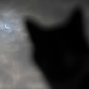 Profile Picture of Jan Fiedler (@janfiedler2118) on Youtube