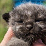 Theodore - Instagram Profile Picture of Theodore (@theodorecarlst) on Instagram