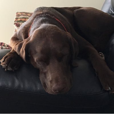 Profile Picture of Carla Sampson (@carlasampson5) on Twitter