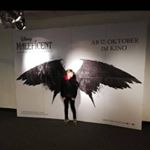 Profile Picture of Robin Loy (@robinreus1106) on Instagram