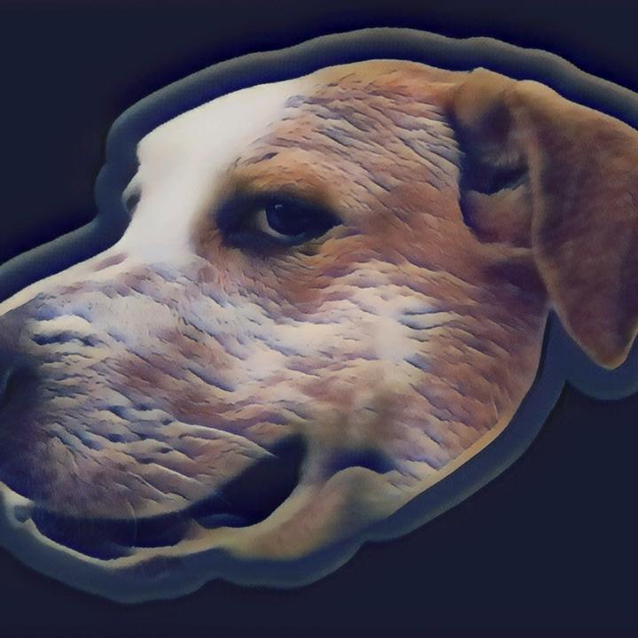 Profile Picture of Richard le (@richard.le4) on Tiktok