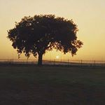 Profile Picture of Neto Erick Cantu (@heriberto_cantu_902) on Instagram