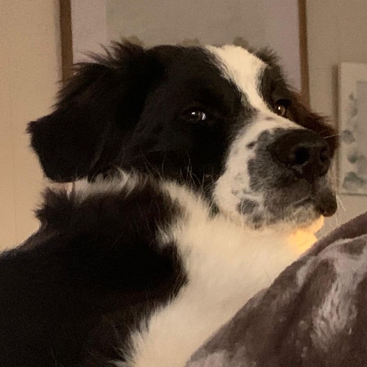 Profile Picture of Jake Everett (@@jakemeverett) on Tiktok