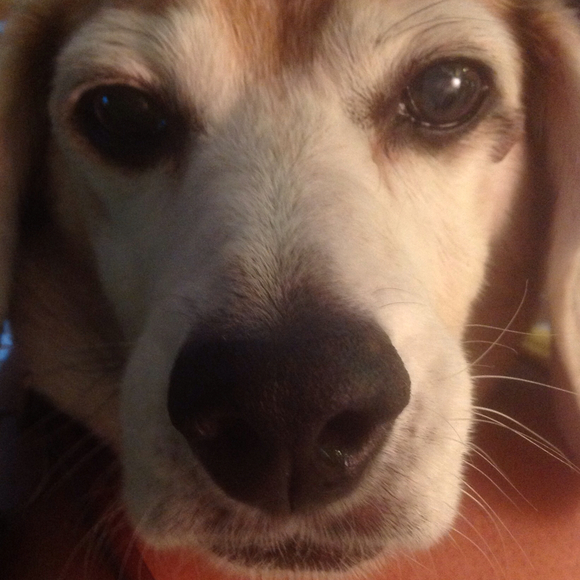 Profile Picture of M Maceda (@lqgigi) on Poshmark