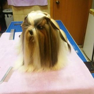 Erik Zuno - Facebook Profile Picture of Erik Zuno (@erik.zuno.1) on Facebook