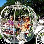 Profile Picture of Paula Marilia Duffy (@paulamariliaduffy) on Instagram