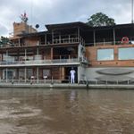 Profile Picture of Niki Bradley Rubenstein (@nikibradleyrubenstein) on Instagram