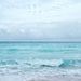 Profile Picture of Christine Savino (@christine_savino) on Pinterest