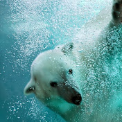 Profile Picture of Kyle Hancock (@kylehancock9885) on Youtube