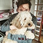 Ellis Porter - Instagram Profile Picture of Ellis Porter (@radoxh) on Instagram