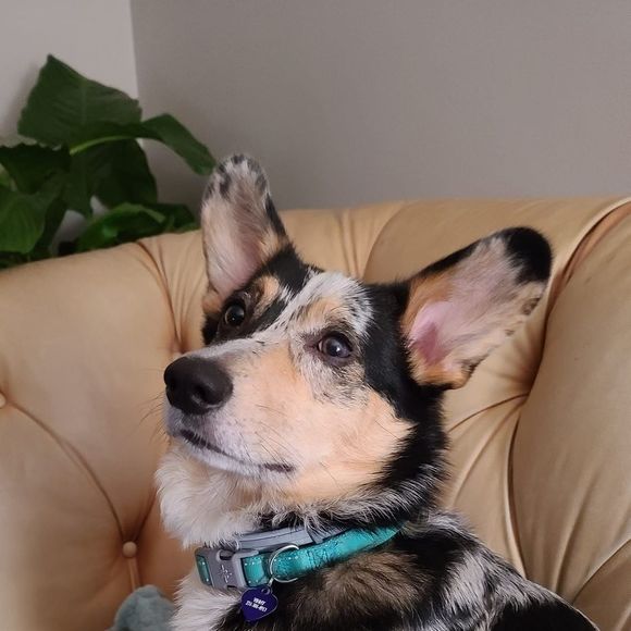 Christa Swain - Poshmark Profile Picture of Christa Swain (@crittas) on Poshmark