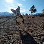 Profile Picture of Jared Lonni Hanley (@jaredlonni) on Instagram