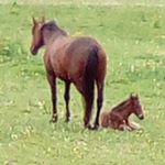 Profile Picture of Géraldine Besson (@geraldine.besson.92) on Instagram