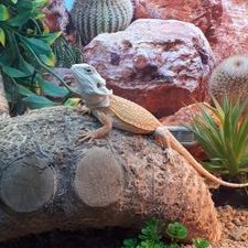 Profile Picture of Simon Attwood (@SimonAttwood7) on Twitter