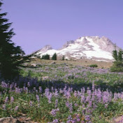 Profile Picture of Kaylee Boyd (@kayleeboyd8729) on Youtube