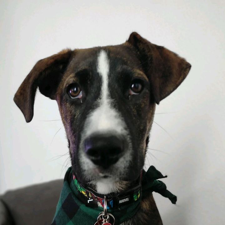 Paul - Tiktok Profile Picture of Paul (@paul_paulinski) on Tiktok