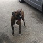 Profile Picture of Bristol James Valliere (@bristoljamesvalliere) on Instagram