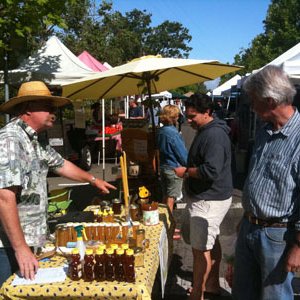 Profile Picture of Steve's Bees (@stevesbees) on Twitter