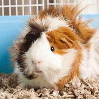 Profile Picture of Jeffery Hall (@jeffery-hall-10) on Quora