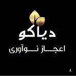 Profile Picture of دیاکو برند برتر و نامی درخشان (@designers.diako_2016) on Instagram