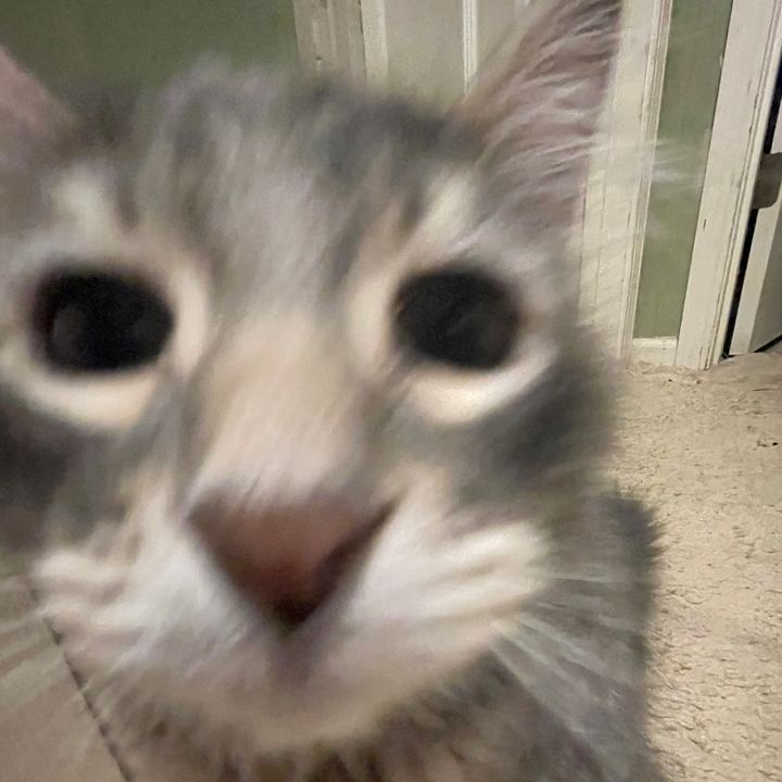 Profile Picture of Geoffrey Murray (@supdoc2) on Tiktok