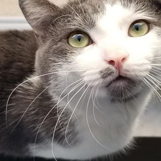 Profile Picture of John Atwell (@john.atwell.3990) on Facebook